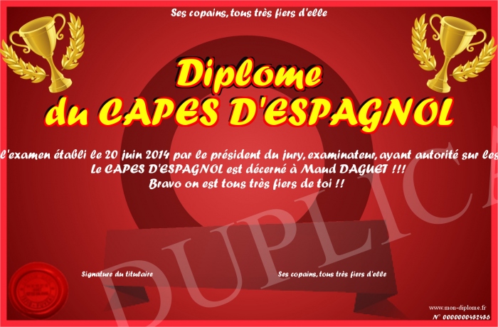 diplome universitaire espagnol